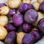 Purple Potato